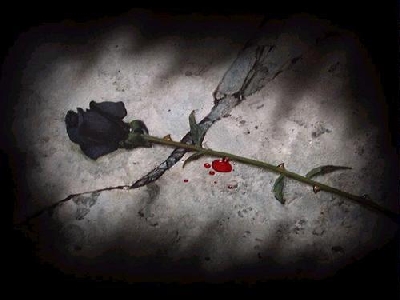 20080209193551-digo.jpg