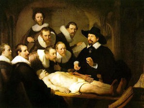 · Lección de anatomía ·