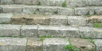 Instrucciones para subir una escalera |Julio Cortázar|