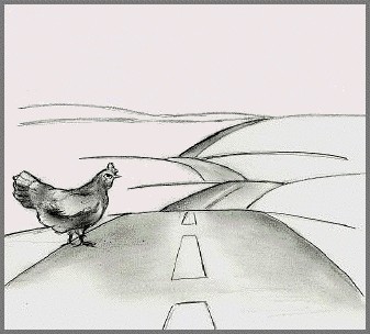 ¿Por qué ha cruzado la carretera el pollo iraquí? |Joshua Paul|